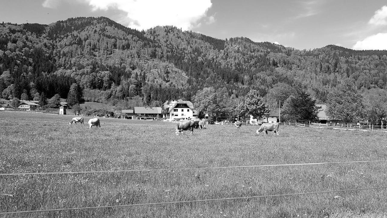 S'Quartier Am Schliersee Exterior foto